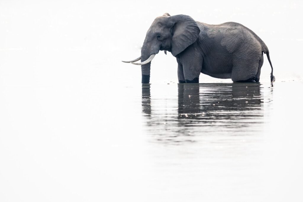 Tanzania