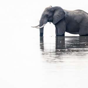 Tanzania