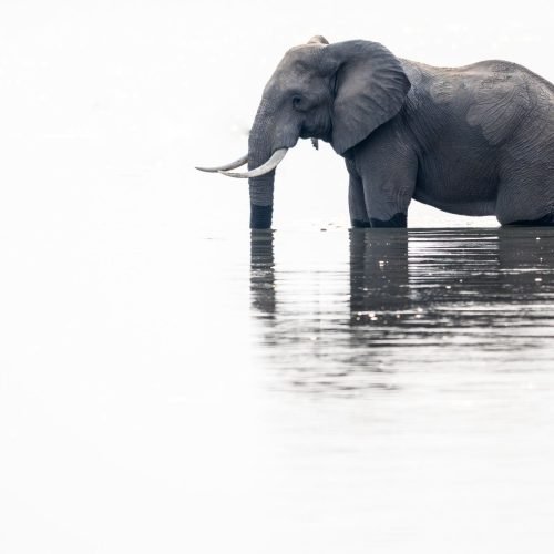 Tanzania